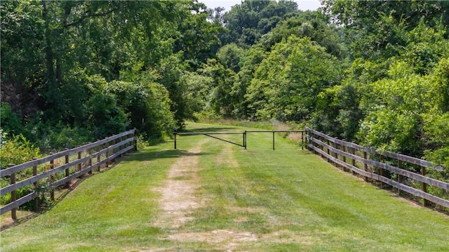 10146 Henley Cv, Iola, TX 77861 - view of yard with a view of trees