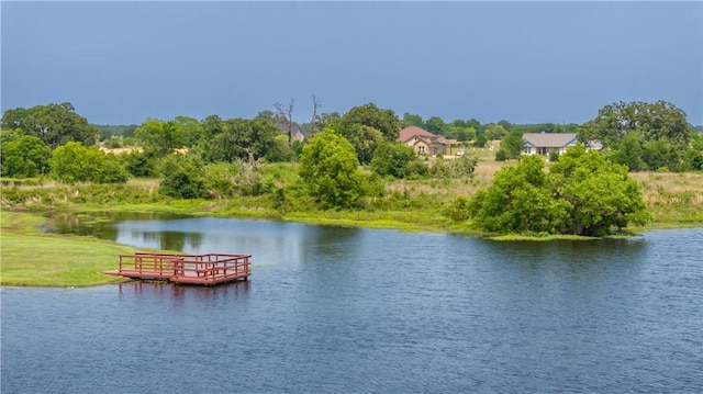 10146 Henley Cv, Iola, TX 77861 - water view