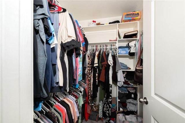 122 Dove Ct, Navasota, TX 77868 - view of walk in closet