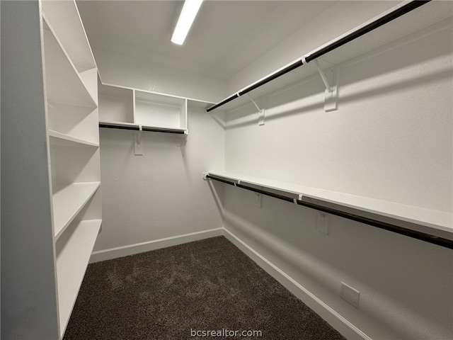 walk in closet featuring dark colored carpet