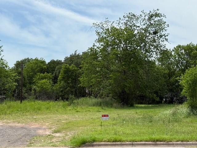 400 S Brazos Ave, Bryan, TX 77803 - view of wooded area
