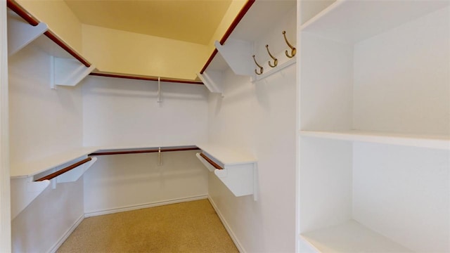 spacious closet featuring carpet