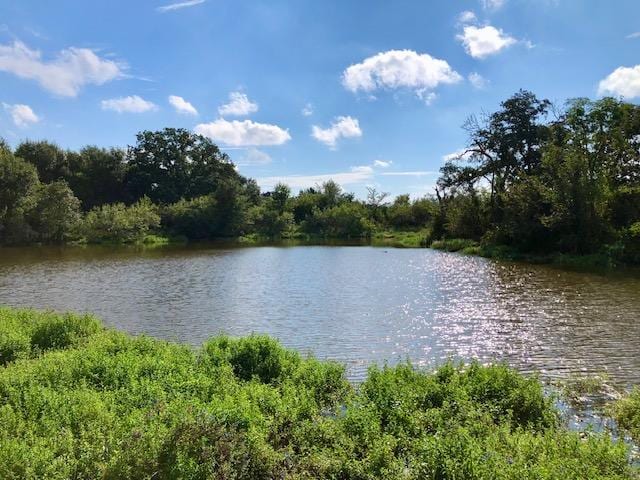 TBD County Road 120, Caldwell TX, 77836 land for sale