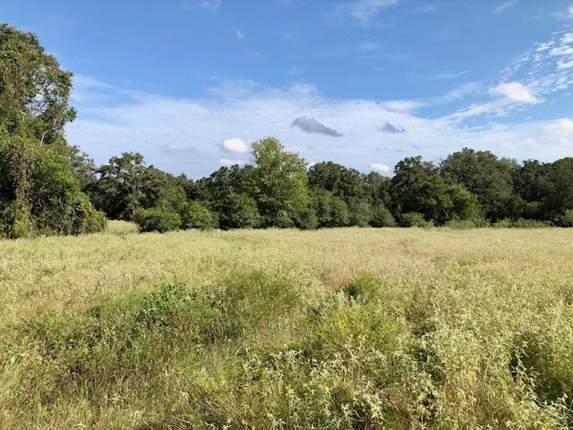 Listing photo 3 for TBD County Road 120, Caldwell TX 77836