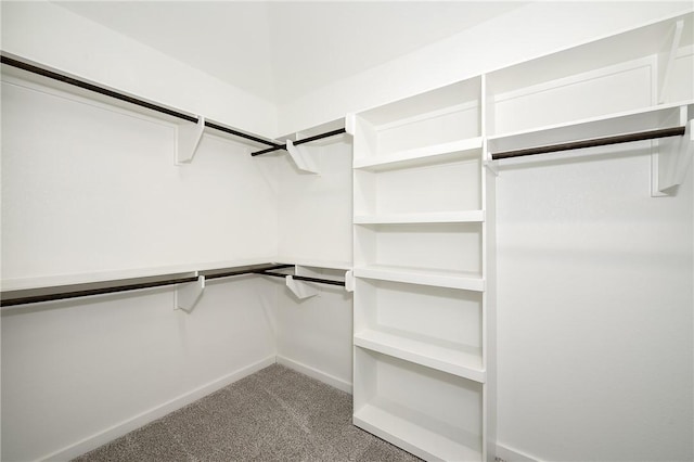 walk in closet with carpet floors
