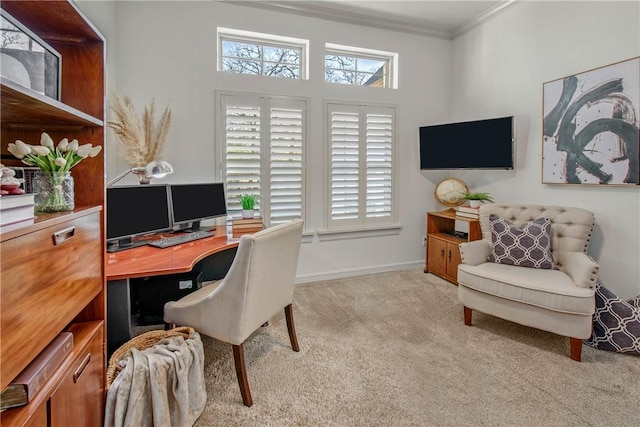 3281 Toltec Trl, College Station, TX 77845 - carpeted home office with baseboards and ornamental molding