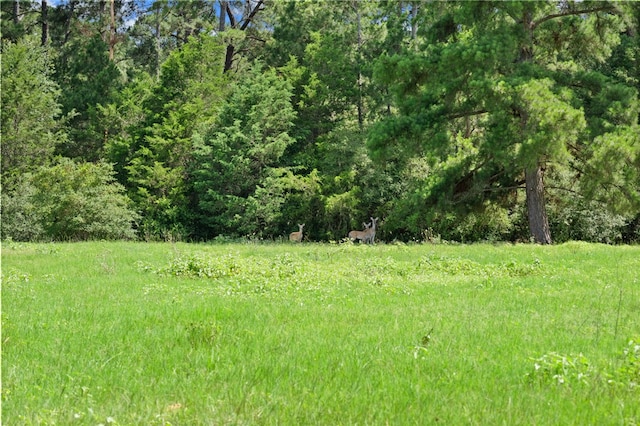 11 & Rd, Paige, TX 78659