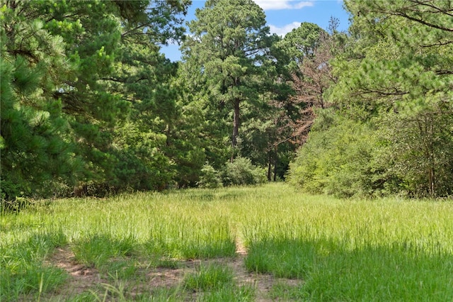 11 & Rd, Paige, TX 78659