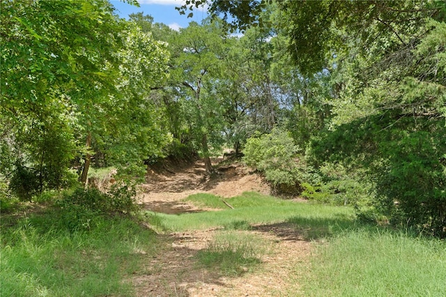 11 & Rd, Paige, TX 78659