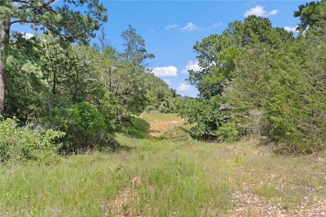 11 & Rd, Paige, TX 78659
