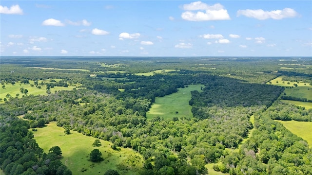 11 & Rd, Paige, TX 78659