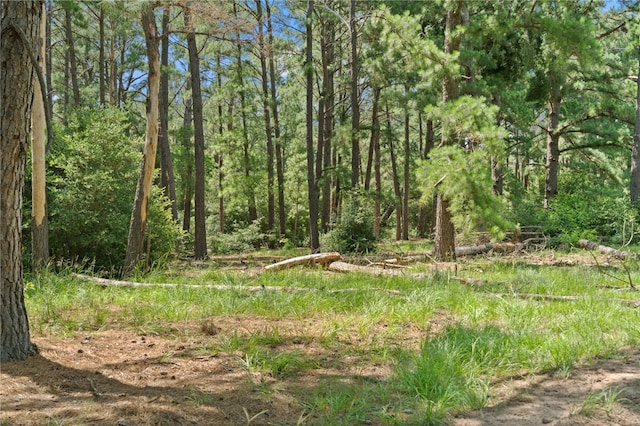 11 & Rd, Paige, TX 78659