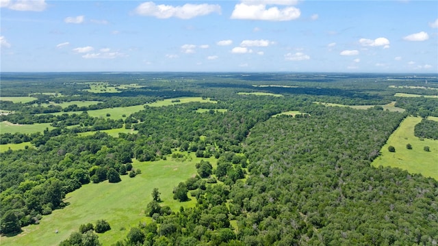 11 & Rd, Paige, TX 78659