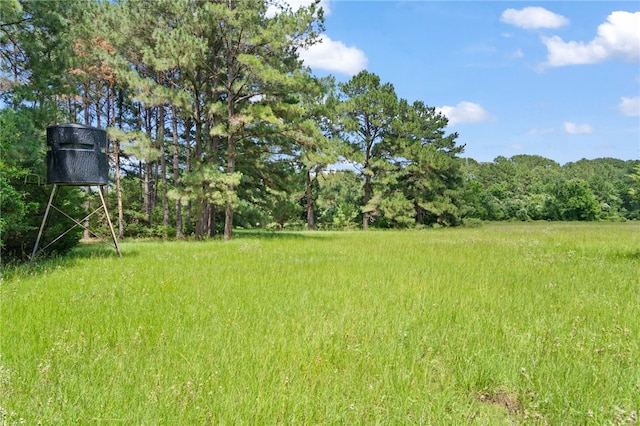 11 & Rd, Paige, TX 78659