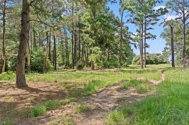 11 & Rd, Paige, TX 78659