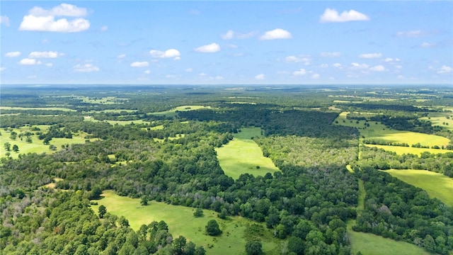 11 & Rd, Paige, TX 78659