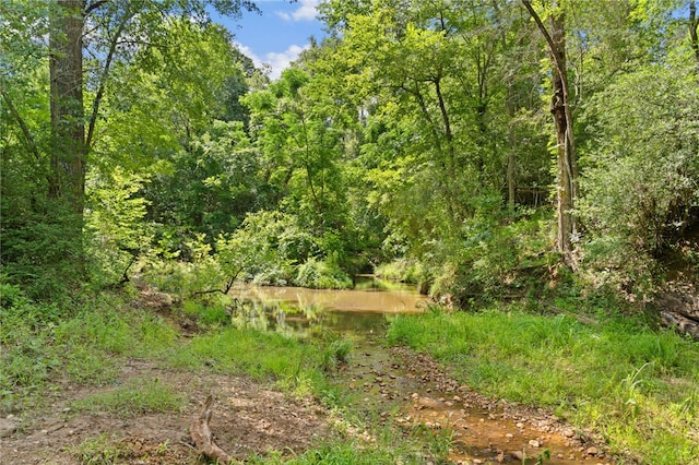 11 & Rd, Paige, TX 78659