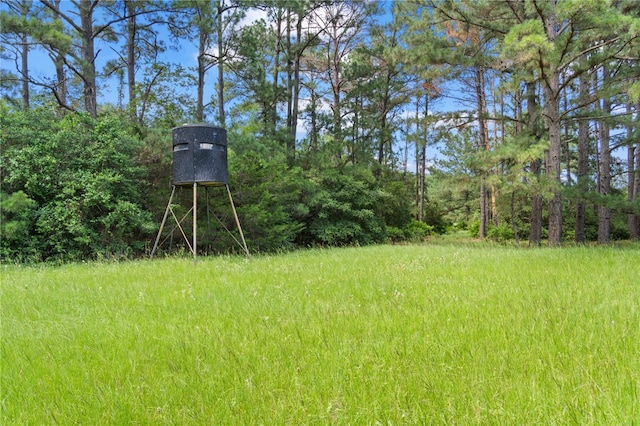 11 & Rd, Paige, TX 78659