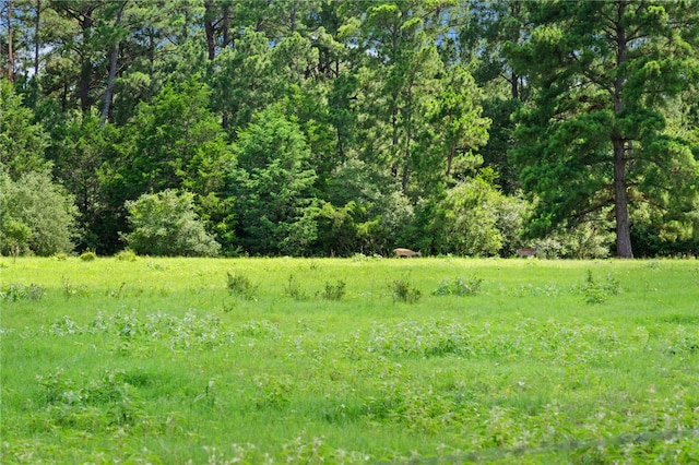 11 & Rd, Paige, TX 78659