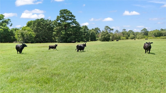 11 & Rd, Paige, TX 78659