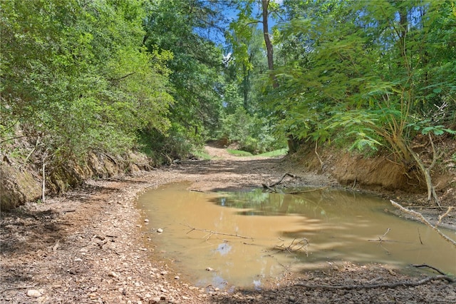 11 & Rd, Paige, TX 78659