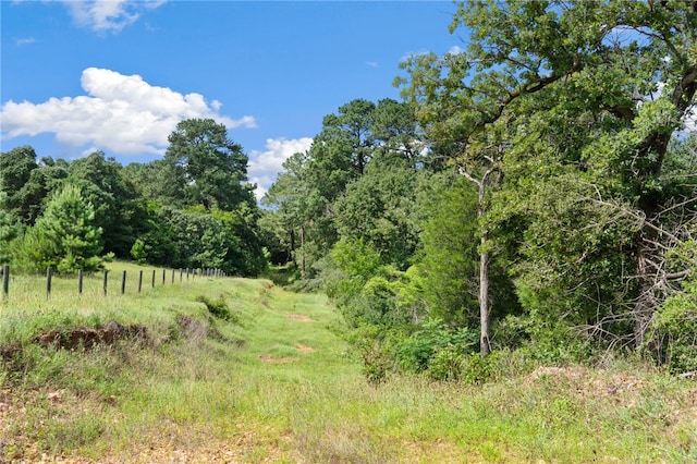 11 & Rd, Paige, TX 78659