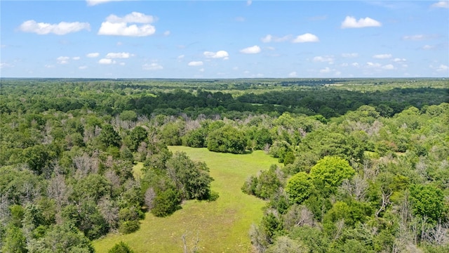 11 & Rd, Paige, TX 78659