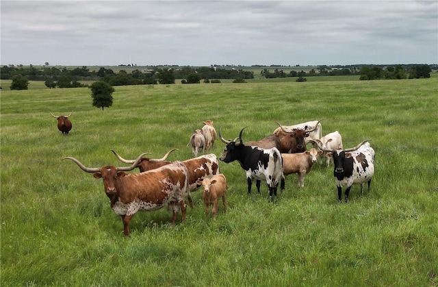1716A County Road 469, Thrall, TX 78616