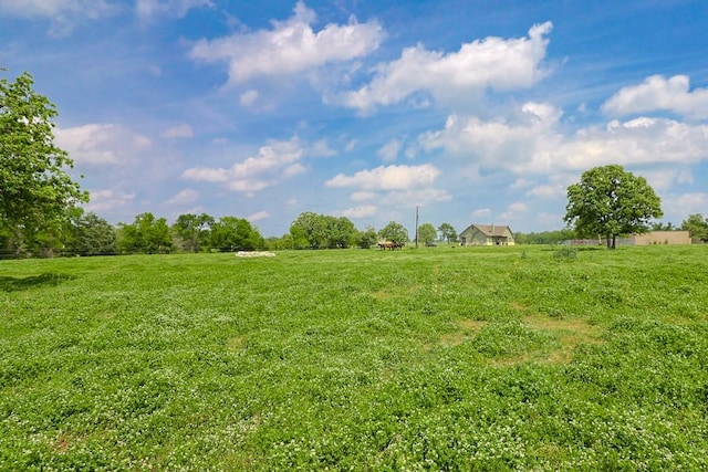 5443 Harris Tap Ln, North Zulch, TX 77872 - photo 49