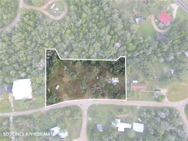 304 Tanglewood Ln, Somerville, TX 77879 - photo 1