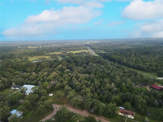 304 Tanglewood Ln, Somerville, TX 77879 - photo 4