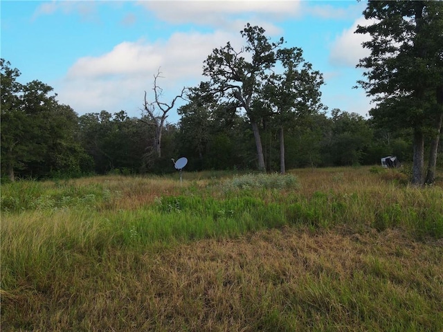 304 Tanglewood Ln, Somerville, TX 77879 - photo 8