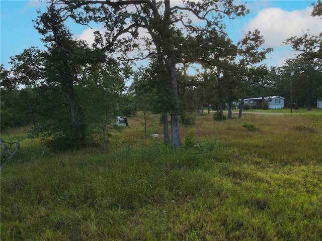 304 Tanglewood Ln, Somerville, TX 77879 - photo 6