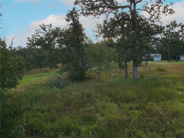 304 Tanglewood Ln, Somerville, TX 77879 - photo 7
