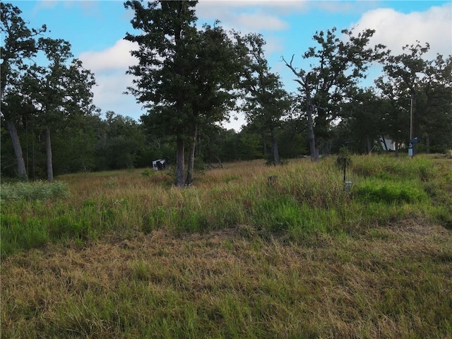 304 Tanglewood Ln, Somerville, TX 77879 - photo 9