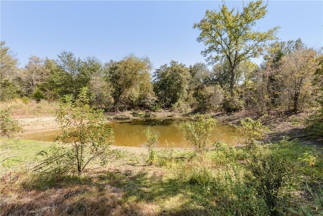 view of landscape with a water view