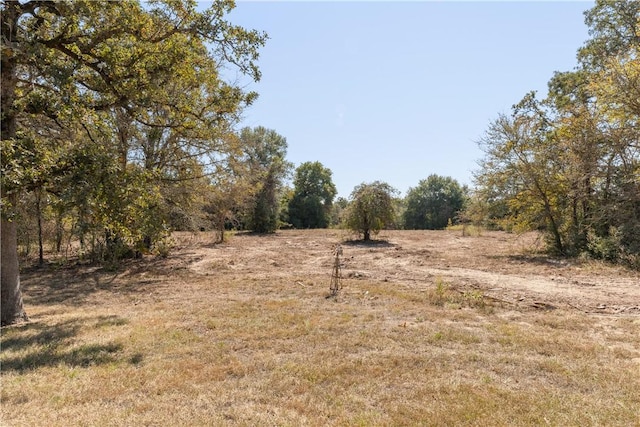 view of local wilderness featuring a rural view