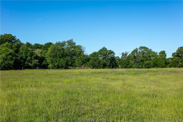 Listing photo 2 for LOT4A Brazos Ct, Caldwell TX 77836