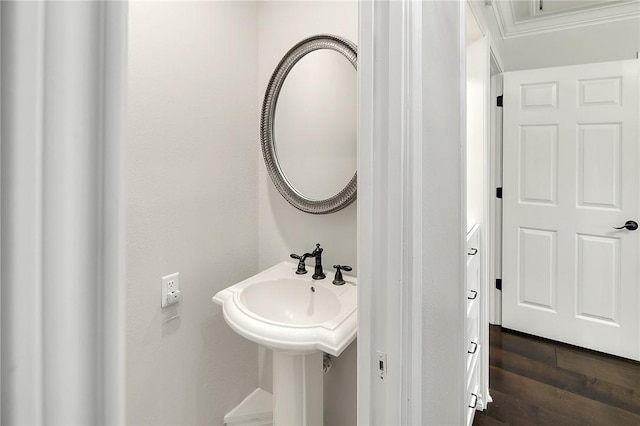 bathroom with hardwood / wood-style flooring