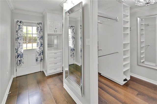 walk in closet with dark wood-type flooring