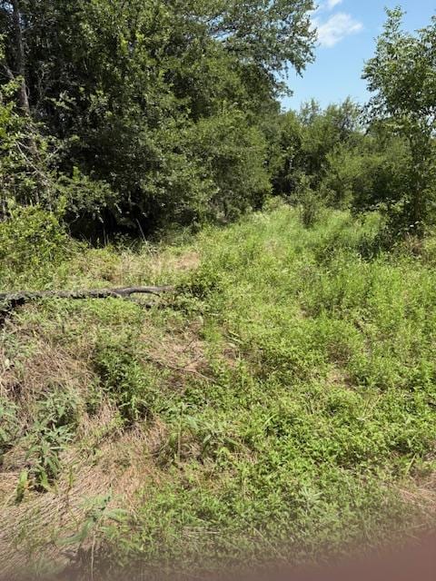 000 Dawkins Rd, Tx, Normangee, TX 77871 - photo 9