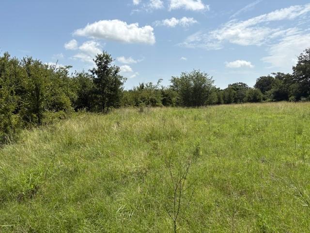 000 Dawkins Rd, Tx, Normangee, TX 77871 - photo 3