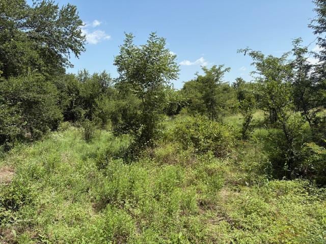 000 Dawkins Rd, Tx, Normangee, TX 77871 - photo 10