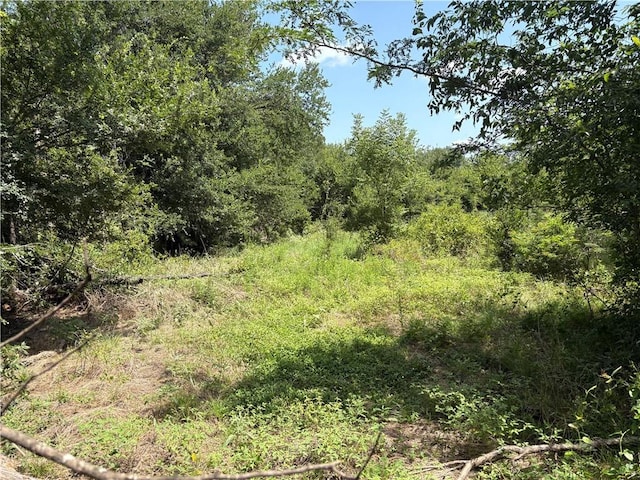 000 Dawkins Rd, Tx, Normangee, TX 77871 - photo 7