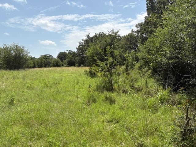 000 Dawkins Rd, Tx, Normangee, TX 77871 - photo 6