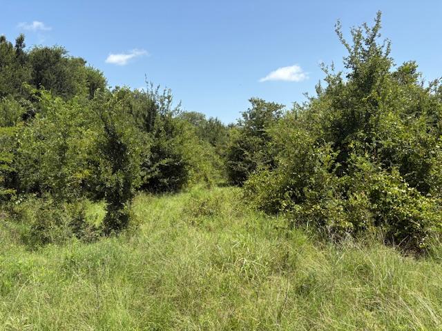 000 Dawkins Rd, Tx, Normangee, TX 77871 - photo 4