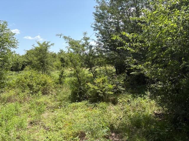 000 Dawkins Rd, Tx, Normangee, TX 77871 - photo 8