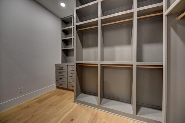 spacious closet with hardwood / wood-style flooring