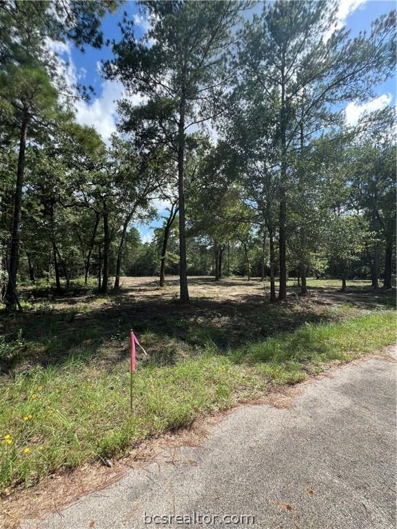 Listing photo 2 for TBDLOT2 Deerwood Dr, Plantersville TX 77363