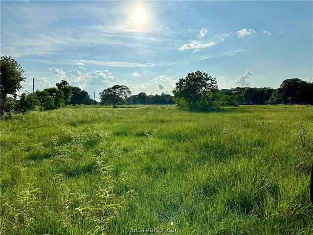 view of local wilderness featuring a rural view